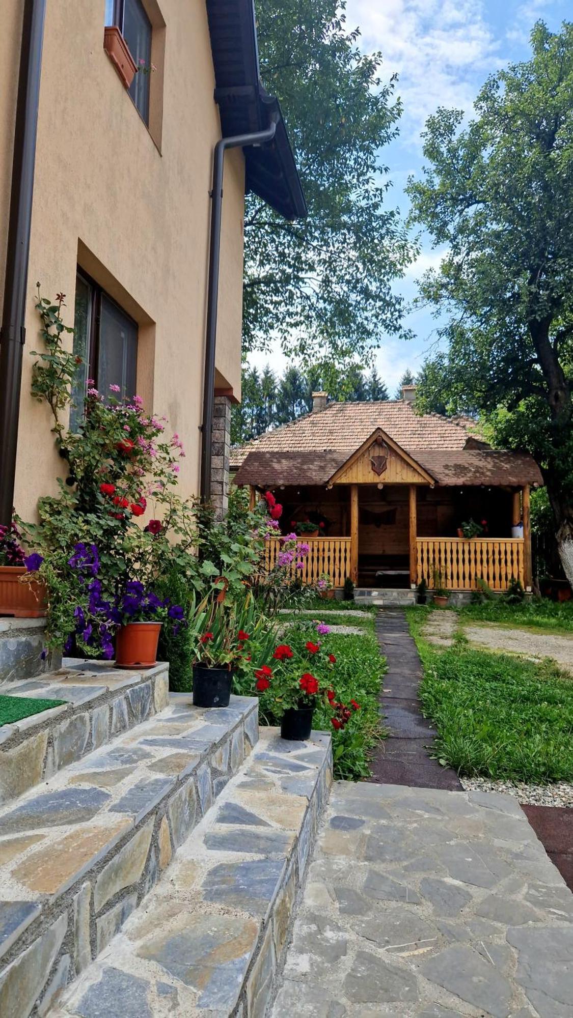 Casa Dorina Vila Bran  Exterior foto